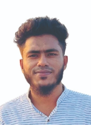 Romen Bray <br> Dilbro