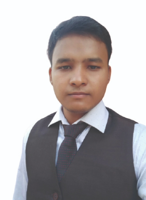 Romen Bray <br> Dilbro